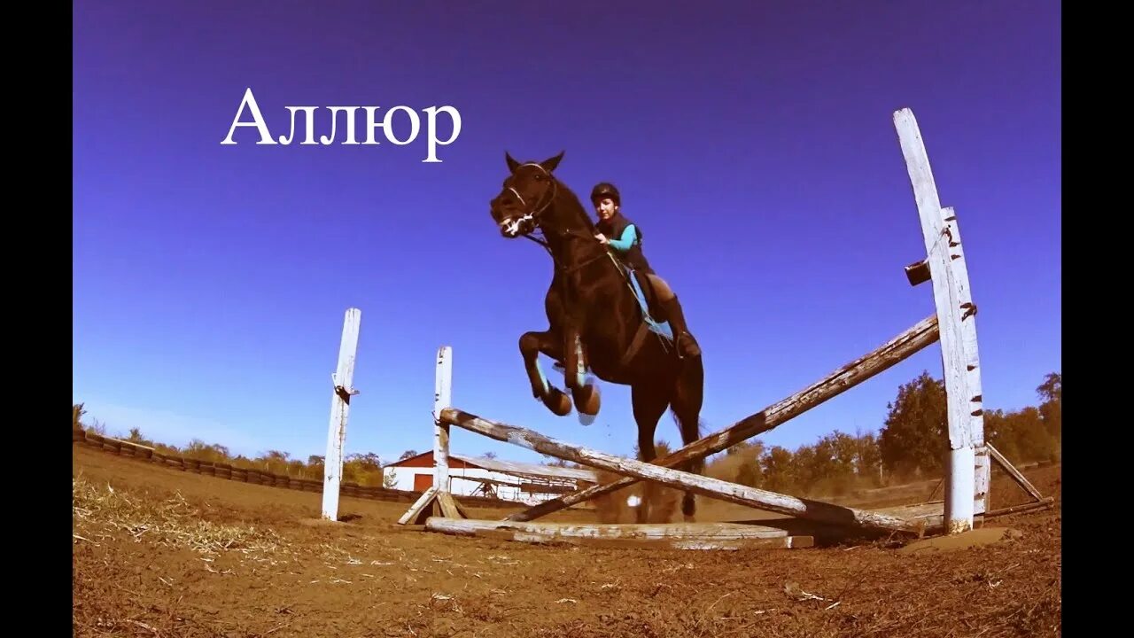 Конный клуб красный бор ярославль. Аллюр благовещенск конно-спортивный клуб. Аллюр конный клуб люлли. Аллюр три креста. Кск аллюр новосибирск.