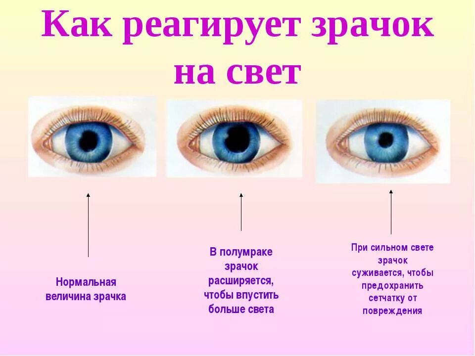 Почему постоянно расширенные зрачки