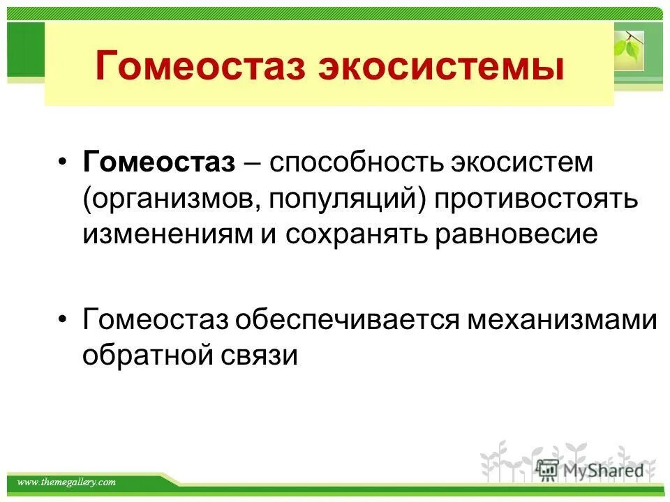 Гомеостаз определение и примеры Экологические науки Аутэкология Демэкология Эко-физиология Синэкология Экология