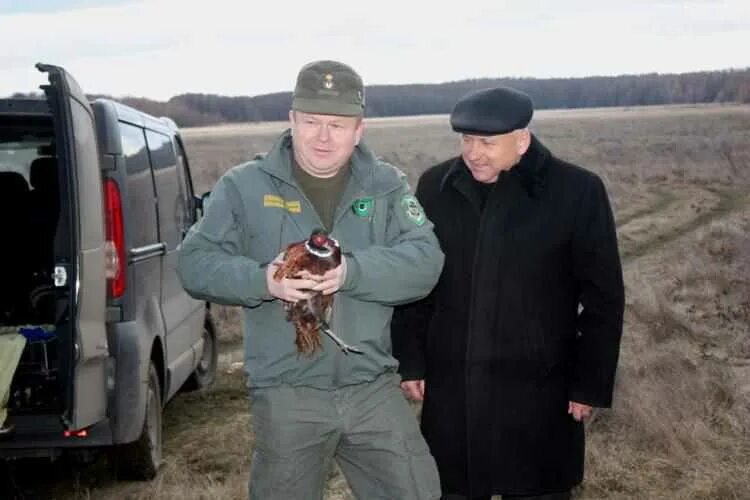 Подоляка Сумы. Последние военные сводки подоляки