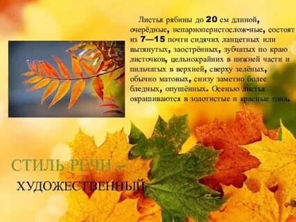 Описание листа осенью
