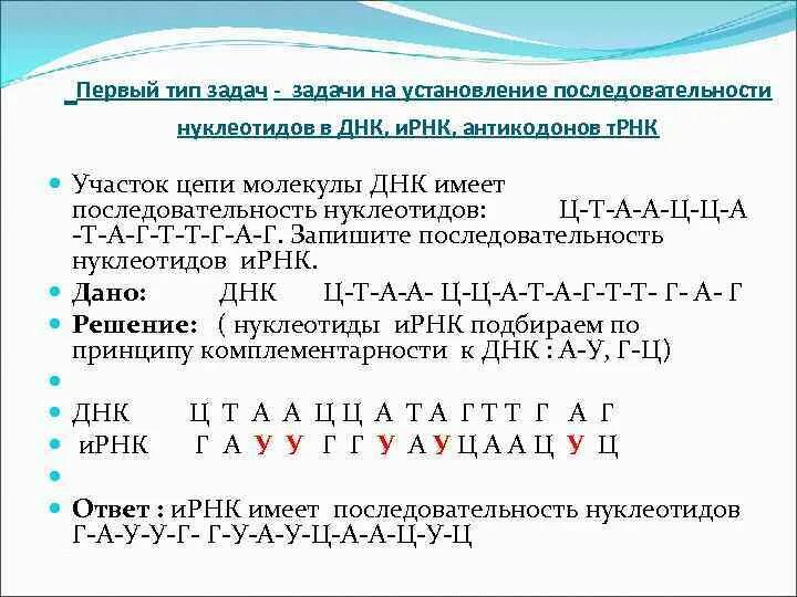 Участок молекулы днк имеет следующую структуру. Участок молекулы днк имеет следующую структуру