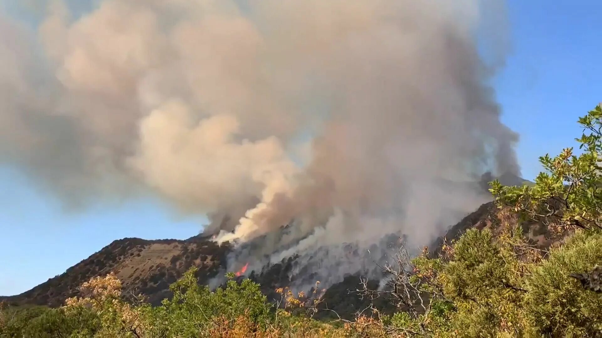 Почему горит подик. Контрольная лампа abs лада гранта. Почему горит подик. Сгорел смартфон. Индикатор чек в машине.