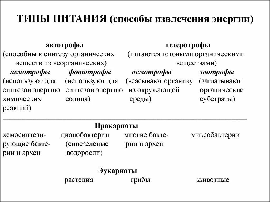 Автотрофный и гетеротрофный. Автотрофный и гетеротрофный Тип питания. Тип питания автотрофы гетеротрофы автогетеротрофы. Типы гетероьрофовного пит. Автотрофный Тип питания гетеротрофный Тип.