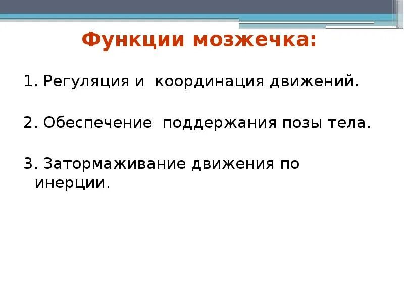 Мозжечок функции кратко. Мозжечок выполняет функции. Каковы функции мозжечка. Мозжечок строение и функции кратко.