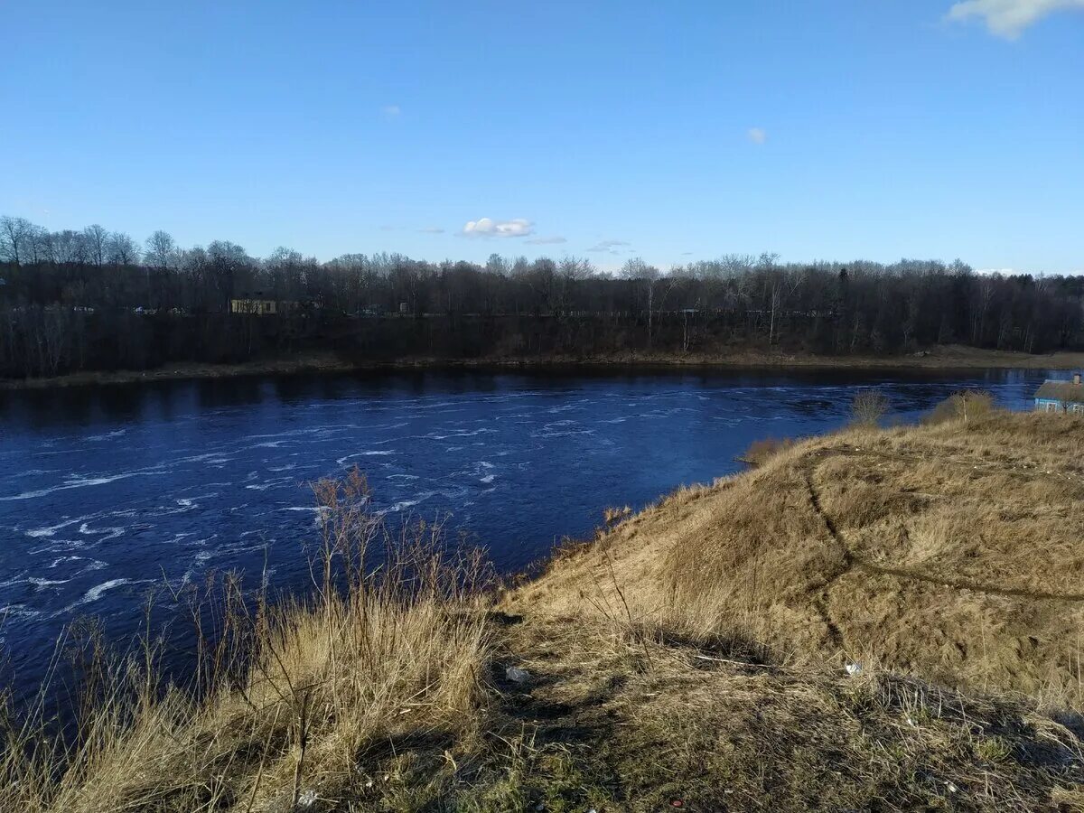 Река луга. Река луга течение. Река луговая. Река луга гаврюша. Река луга в кингисеппе весной.