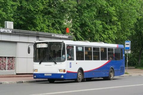 Автобусы плесково ольховая расписание