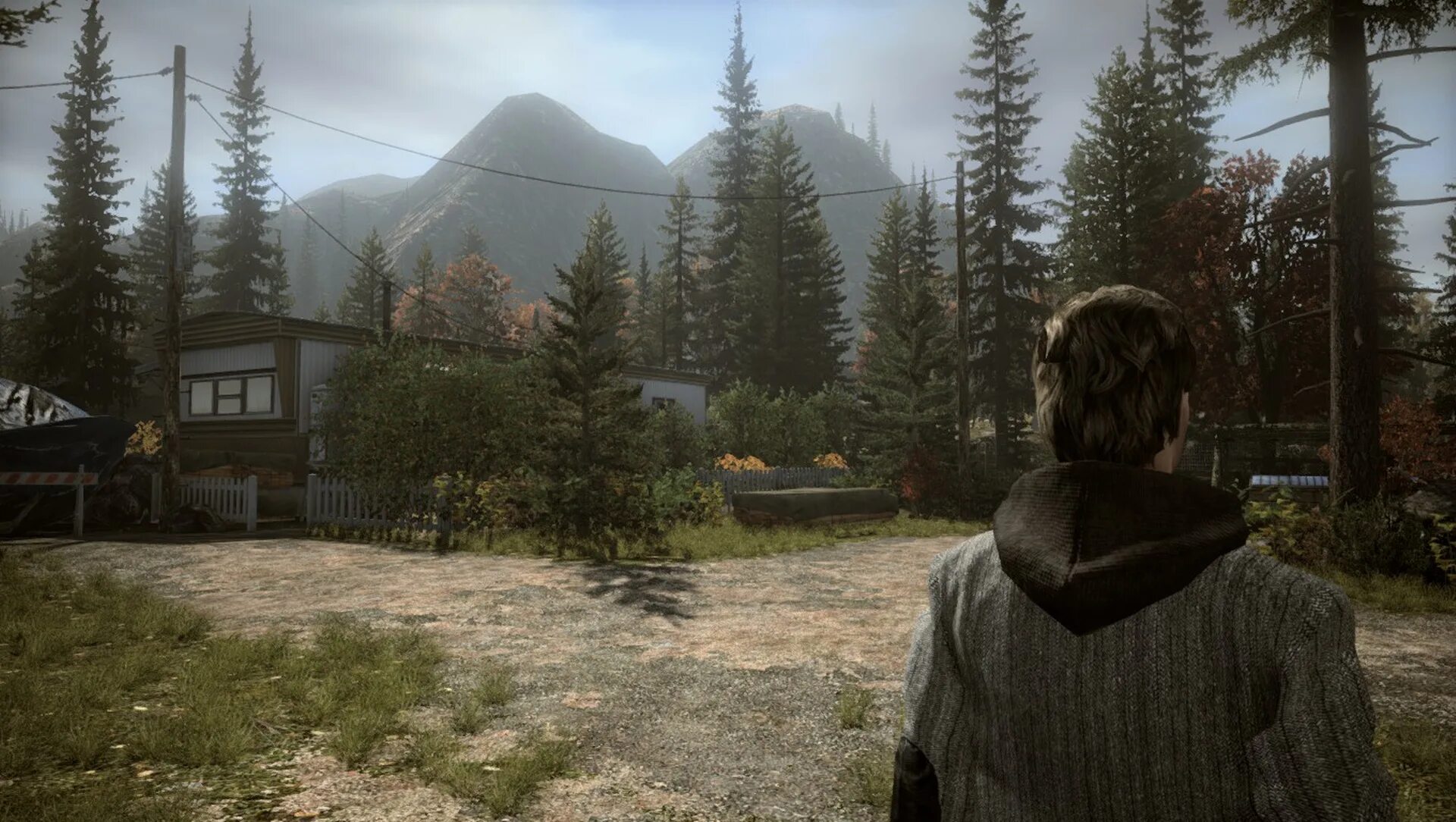 Alan wake 2 лавка. Alan wake 2 лавка