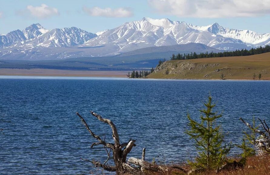 Озера младшие братья байкала. Хубсугул Монголия. Национальный парк озеро Хубсугул. Монгольское озеро Хубсугул. Озеро Хубсугул Саяны.