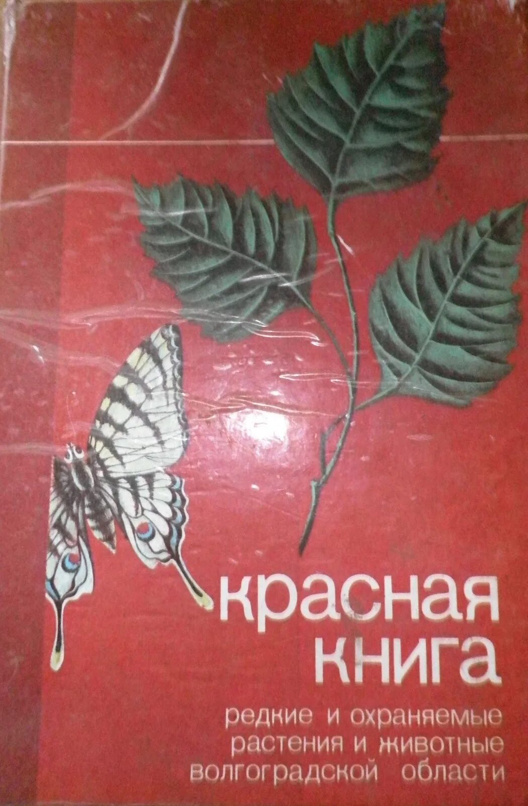 Красная книга Волгоградской области пополнилась новыми видами - RuNews24.ru - 26