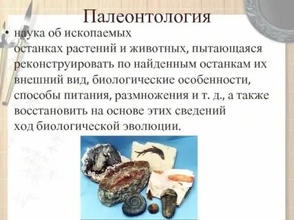 Наука изучающая ископаемые растения