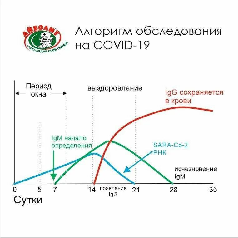 График выработки антител к коронавирусу. Антитела IGM IGG iga. Антитела IGM И IGG коронавируса. Количество антител IGG. Вероятность ковид