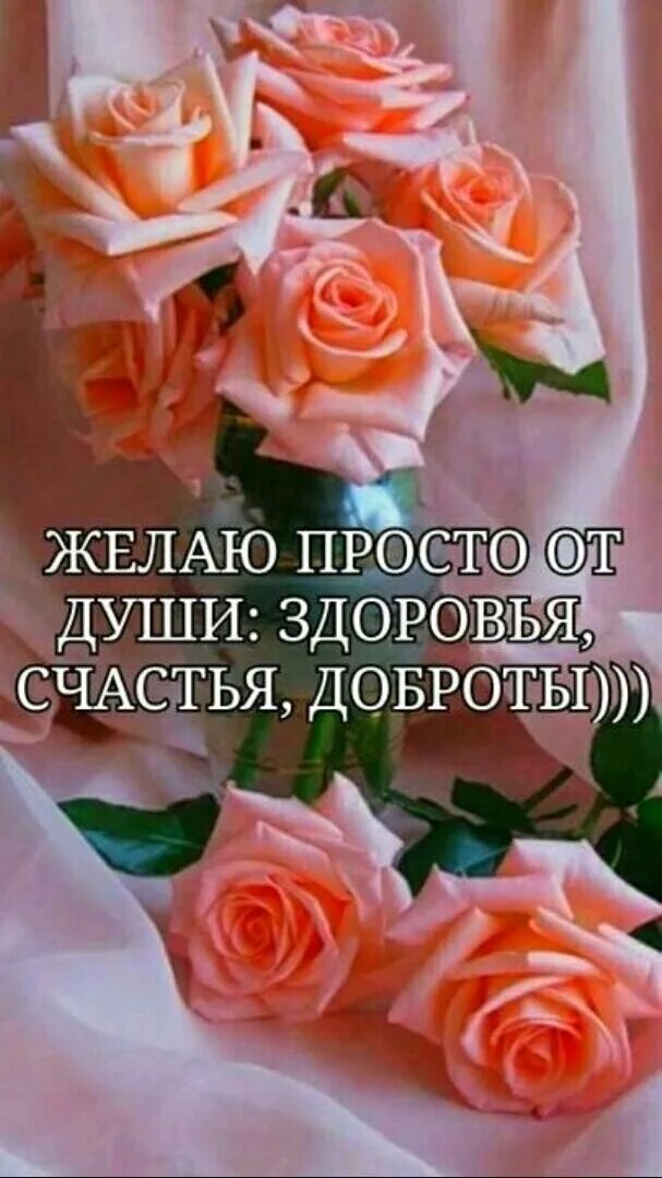 Пожелания всег благ и здоровья. С днём рождения здоровья и всех благ открытки. Желаю здоровья и душевного спокойствия. Открытки счастья и здоровья. Розы с пожеланием здоровья.