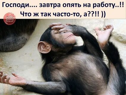 Почему все не так в опять