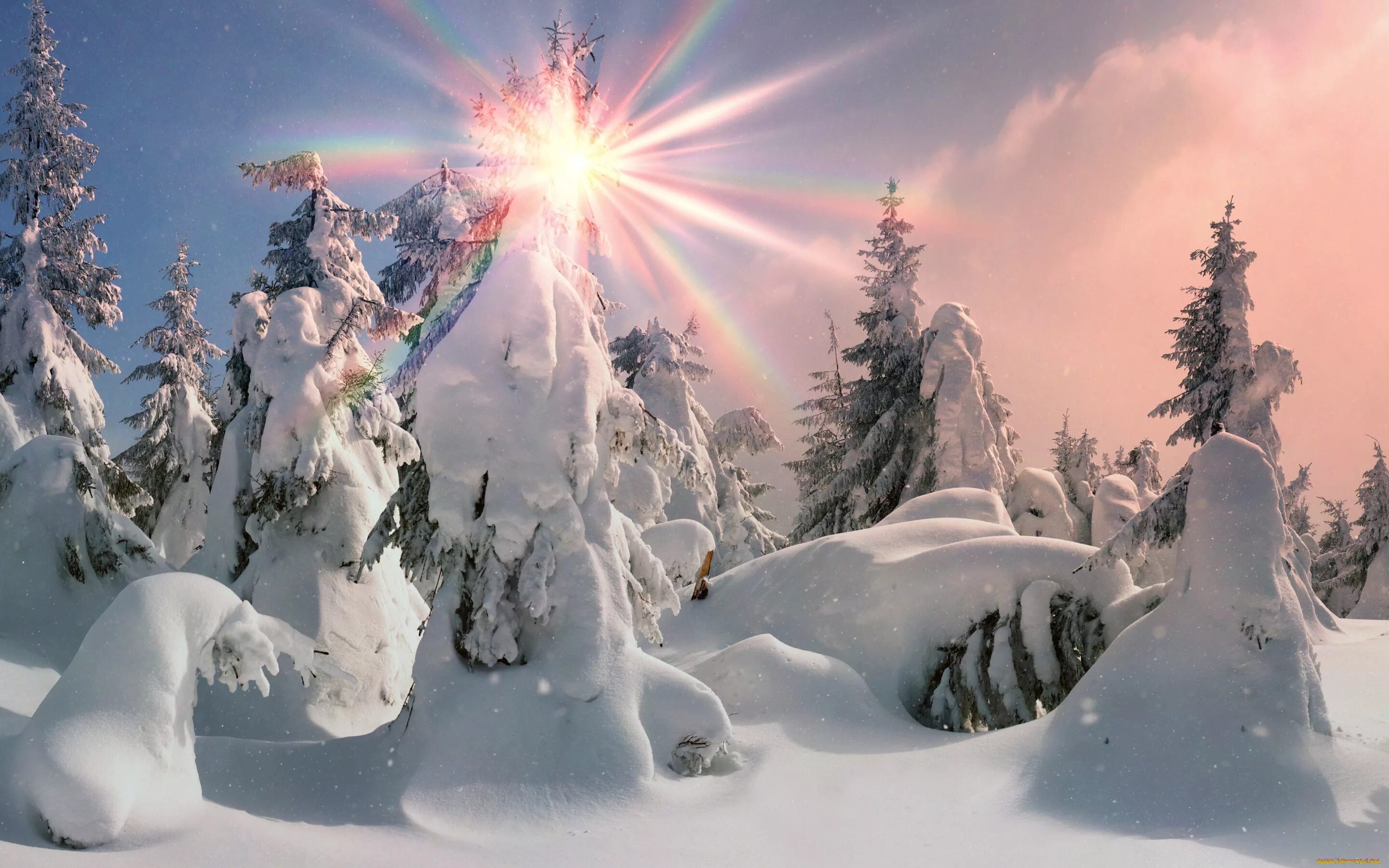 Страна зимней сказки. Сказочный зимний лес. Зима солнце. Волшебный зимний лес. Сказочный лес зимой.