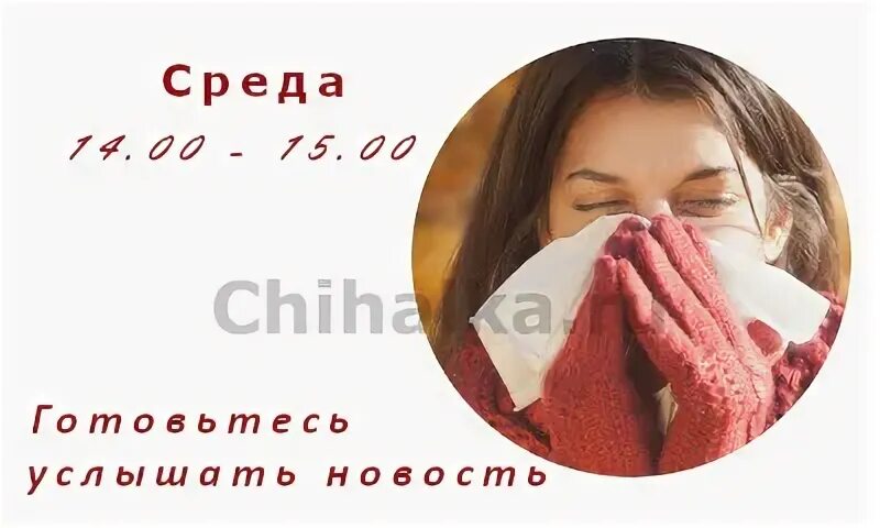 Чихалка среду по времени правдивая. Чихалка среду по времени правдивая