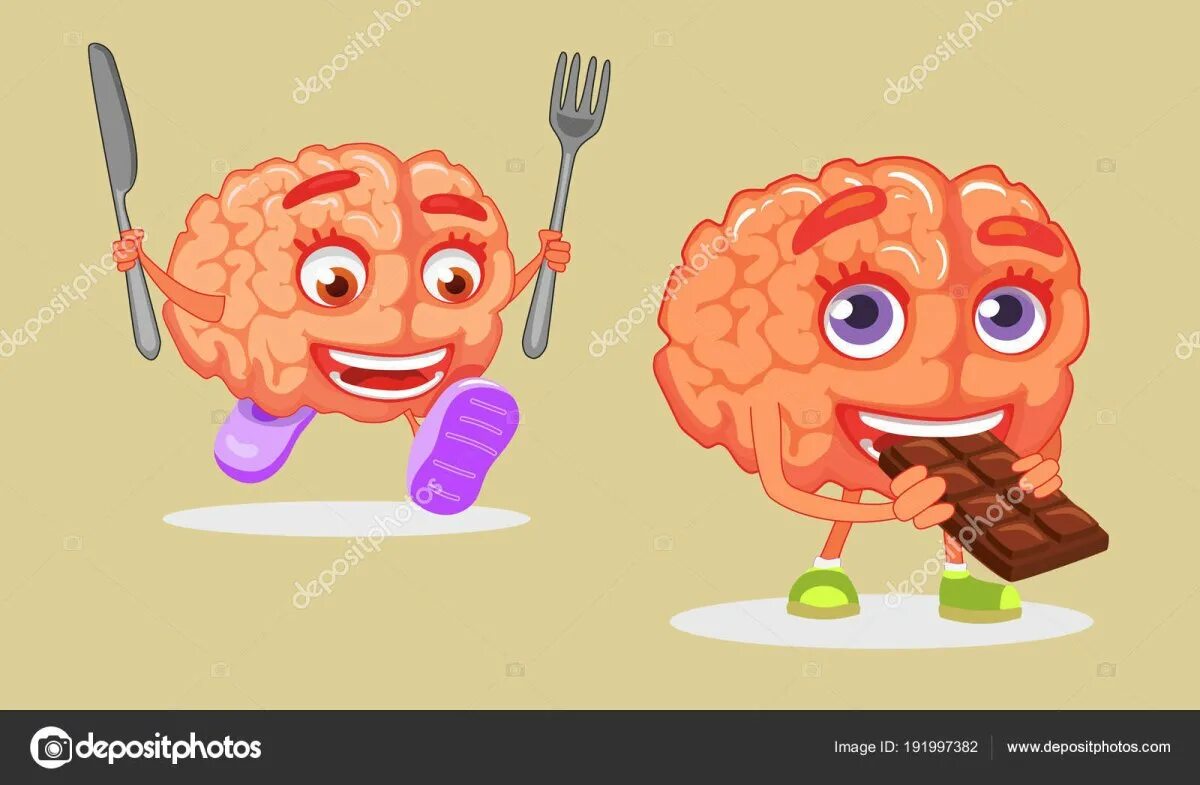 Опасно есть мозги. Пища для мозга. Сахар и мозг. Глюкоза для мозга.