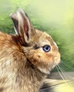 Bunny art