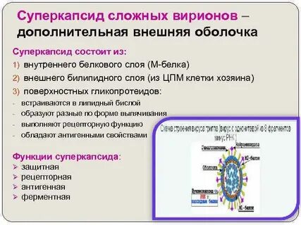 Капсидные вирусы