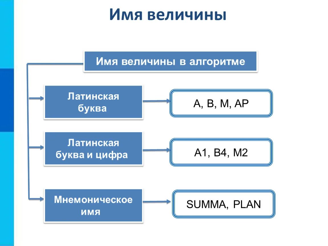 Какие величины в информатике. Величины в объектах алгоритмов в информатике. Имя величины в алгоритме латинская буква и цифра с2. Имя величины в алгоритме в информатике. Имя имя величины в алгоритме мнемоническое.