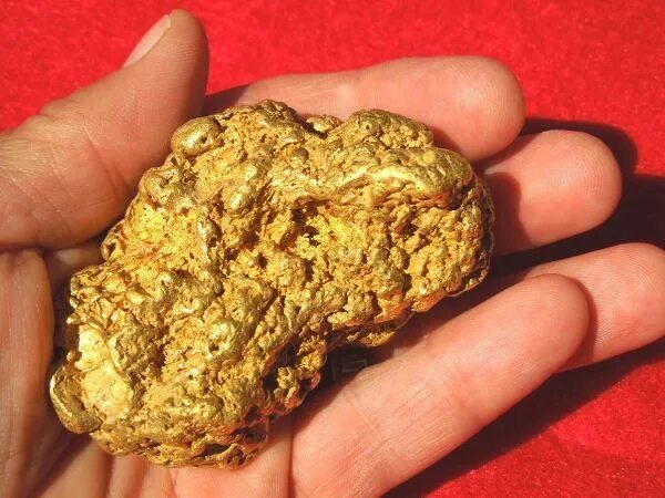 Продам самородок. Золото в самородном виде. Золотой самородок gold rush. Подвеска с самородком золота. Грамм золота самородок.
