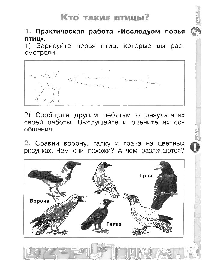 Плешаков 1 класс 1 часть ответы