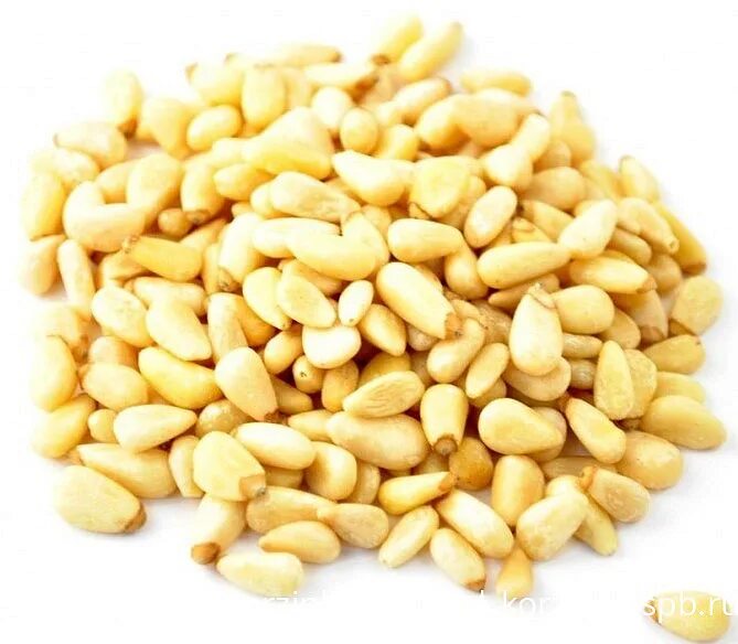 Кедровый орех. Кедровый орех дома. Кедровый орех дома. Pine nuts. Кедровыми орешками называют семена:.