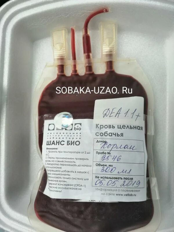 Сколько мл берут у донора. Сколько мл берут у донора