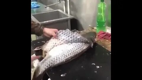 Как чистить карпа