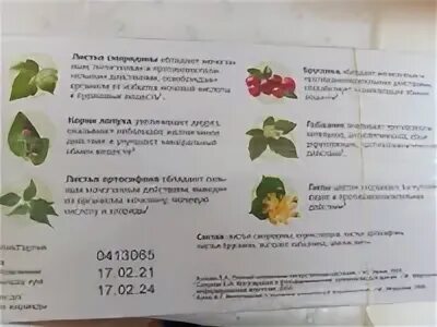 Чай при повышенной мочевой кислоте купить. Чай Эвалар мочевая кислота. Чай эвалао био при повышеннлймочевокислоте. Чай Эвалар био от мочевой кислоты. Эвалар чай при повышенной мочевой кислоте.