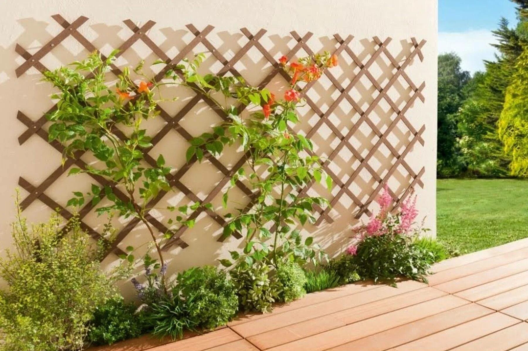 Japanese inspired tomato trellis Backyard pergola, Wood trellis design, Backyard