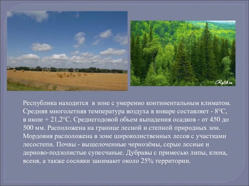 Природные зоны расположенные в умеренном поясе. Природные зоны Мордовии. Разнообразие природы молдавского края. Природа Мордовии презентация. Климат Республики Мордовия.