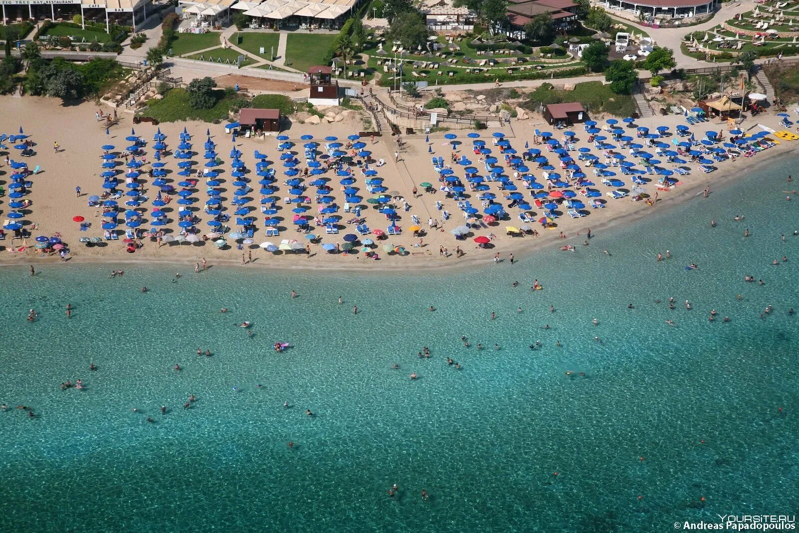 Залив фигового дерева Протарас. Пляж фигового дерева Протарас. Fig Tree Bay Кипр. Пляж Fig Tree Bay Кипр. Пляж фигового дерева