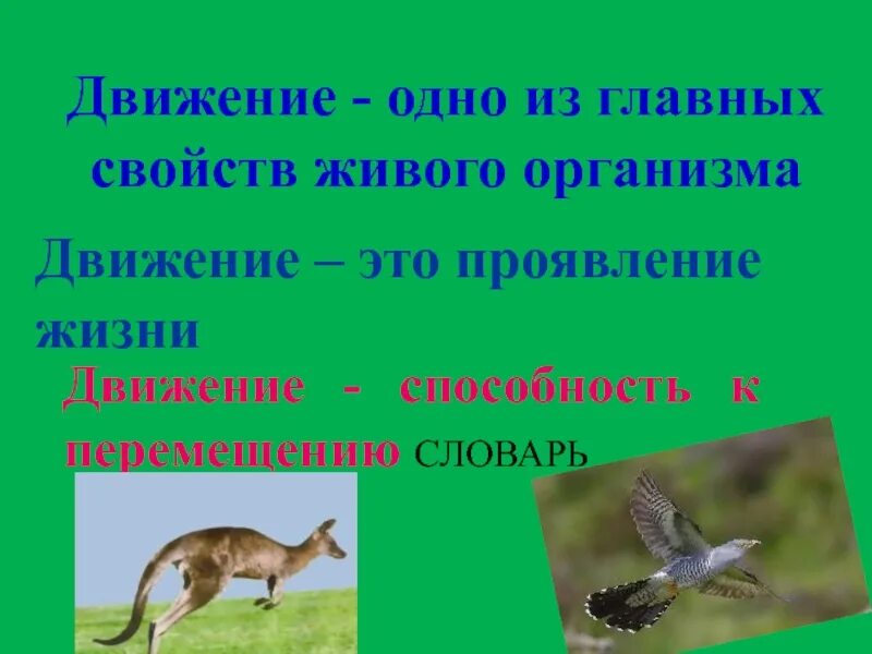 Особенности передвижения животных. Движение живых организмов. Презентация по биологии на тему движение. Движение это в биологии. Движение животных организмов.