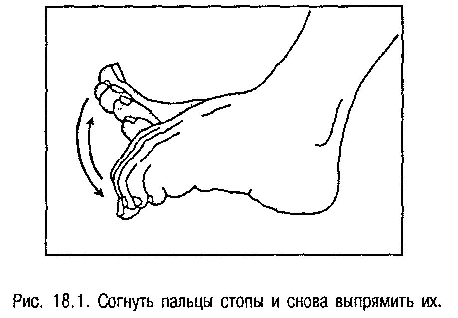 Почему сжимает ноги. Сгибание и разгибание пальцев ног. Упражнения для мизинца стопы. Упражнение сгибание разгибание пальцев стопы. Упражнения для голеностопа и стопы голени.