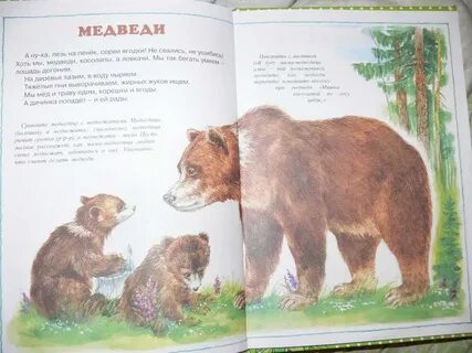 Рассказ про диких животных