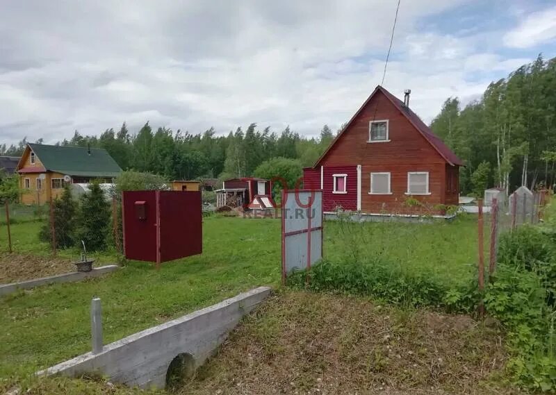 Дом чудово новгородской области. Деревня гладь Новгородская область. Деревня гладь Чудовского района Новгородской области. Дача в Чудово. Дачи в Чудово Новгородской области.