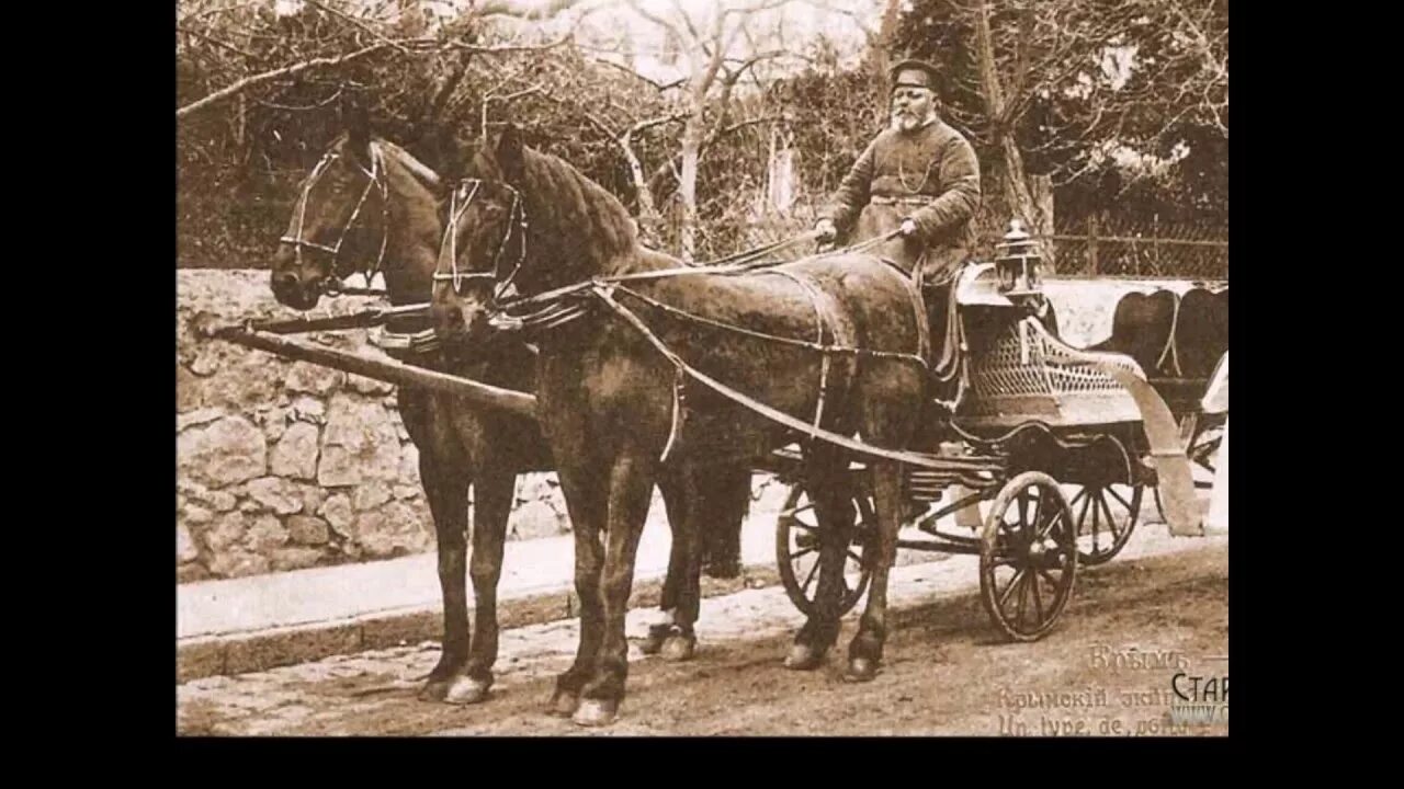 Пара гнедых. Пара гнедых запряженных. Апухтин пара гнедых. Запряженных зарею. Запряженных зарею.