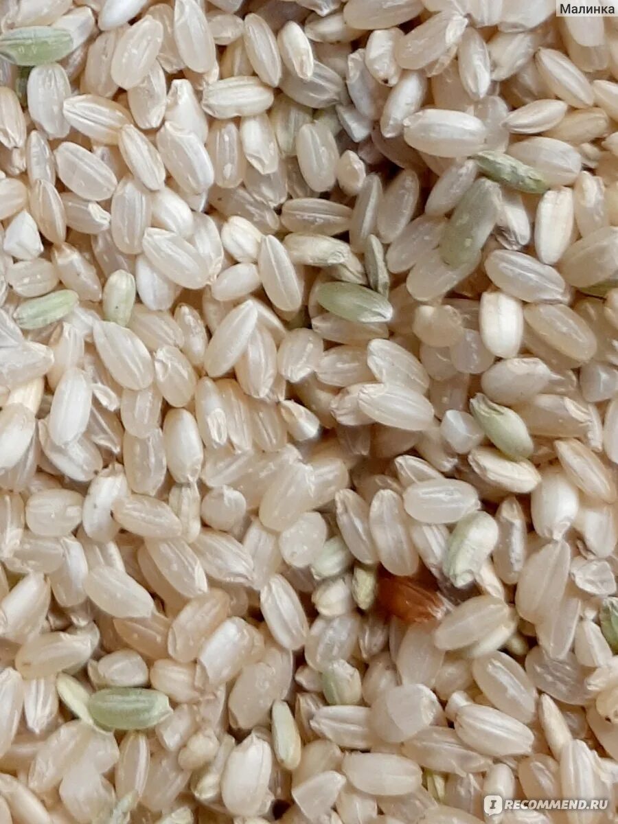 Рис и бурый рис разница. Кубанский рис бурый. Бурый рис Кубань. Рис крупа Кубань. Белый рис.