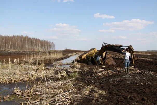 Его добывают на болотах окружающий. Торфяные болота Нижегородской области. Мелиорация осушение болот. Добыча торфа на болотах. Месторождения торфа.