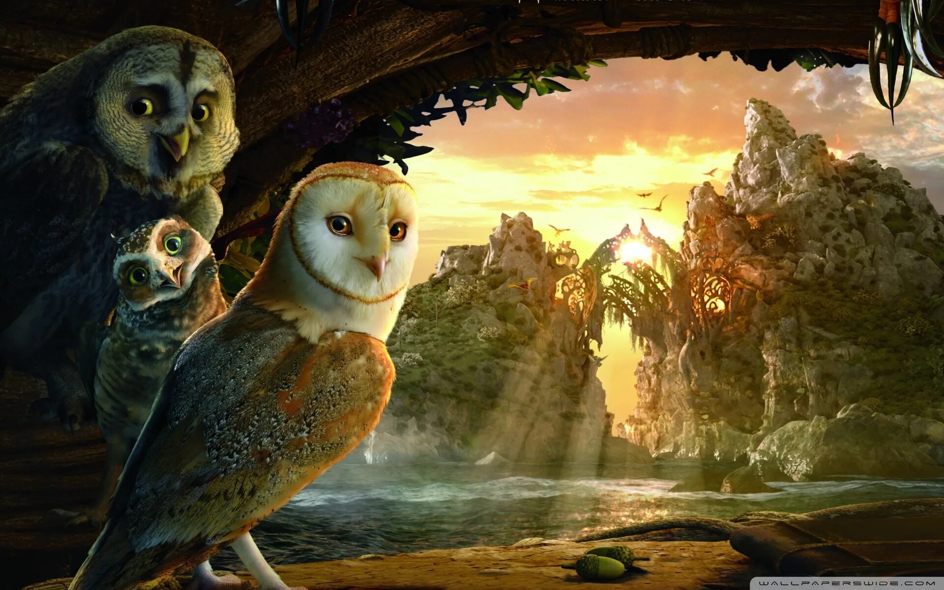 Легенды про сов. Легенды ночных стражей 2010. legend of the guardians the owls of ga&#039;hoole xbox 360. ночные стражи совы. легенды ночных стражей обложка.