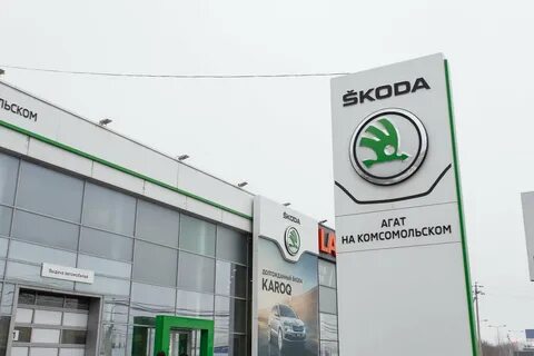 Skoda нижний
