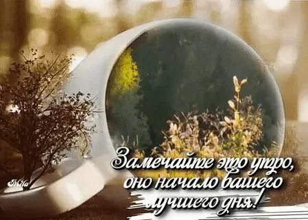 Звонкое утро