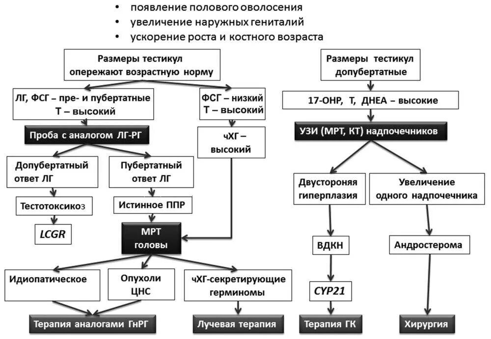 Половое развитие детей клинические рекомендации. Синдром тестикулярной. Ппр у детей клинические рекомендации. Половое развитие детей клинические рекомендации. Половое развитие детей клинические рекомендации.