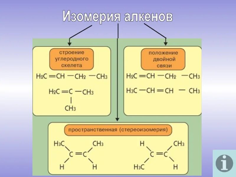 Назвать непредельные углеводороды. Изомерия углеродного скелета алкенов 10 класс. Изомерия и номенклатура алкенов кратко. Изомеры этиленовых углеводородов. Органическая химия изомеры алкенов.