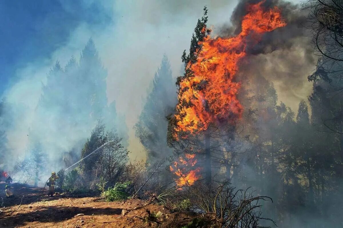 Природные пожары. Россия 2010 год лесной пожар. Горящий лес. Последствия природных пожаров. Пожар.