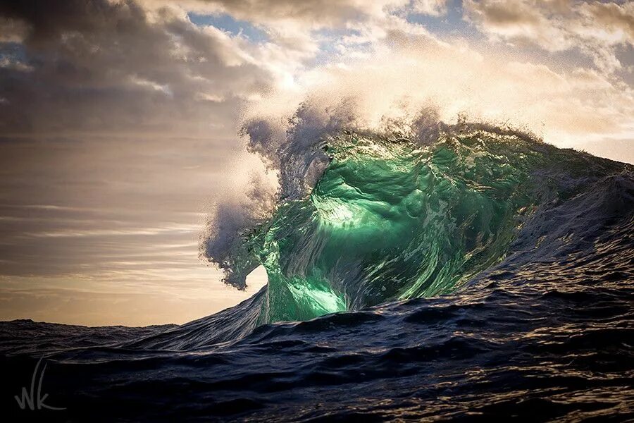 Wild wave. Wild wave