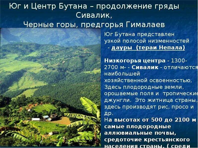 Сообщение о стране бутан. Бутан страна презентация. Бутан форма правления. Монастырь пунакха-дзонг (бутан). Бутан страна презентация.