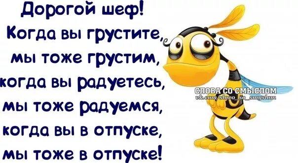 Руководитель уходит в отпуск. Начальник уехал в отпуск. Шеф в отпуске. Начальник в отпуске прикол. Высказывания про отпуск.