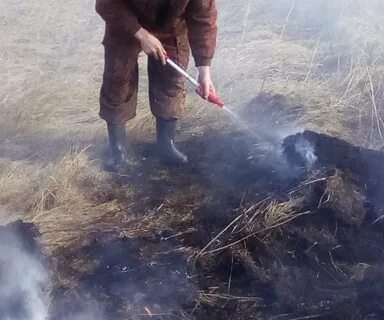 Погода песчаное курганская область